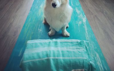 How To Choose A Yoga Mat